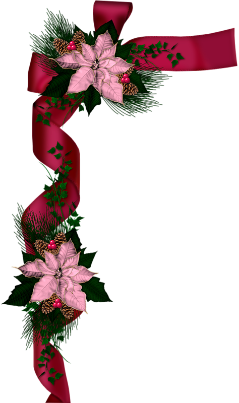 Фото, Автор Sugar-lace На Яндекс - Galatians 2:15-bible, Poinsettia, Ribbon, Christmas, (474x800), Png Download