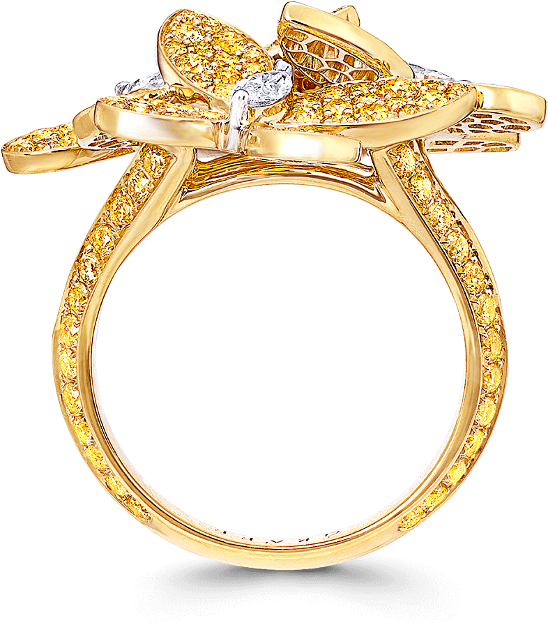 Shank View Of A Graff Triple Pavé Butterfly Ring Featuring - Engagement Ring (2000x2000), Png Download