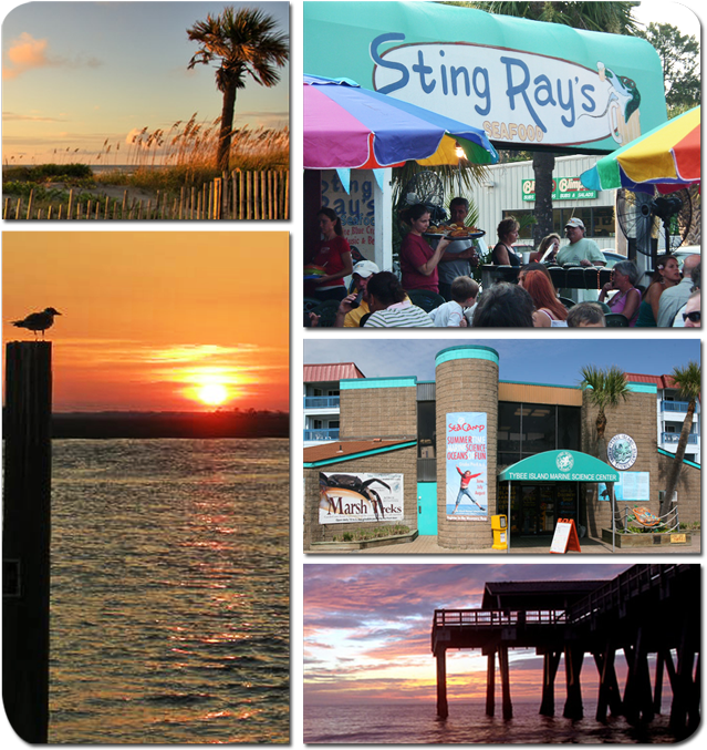 You Are Also Close To The Tybee Island Marine Science - Collage (665x700), Png Download