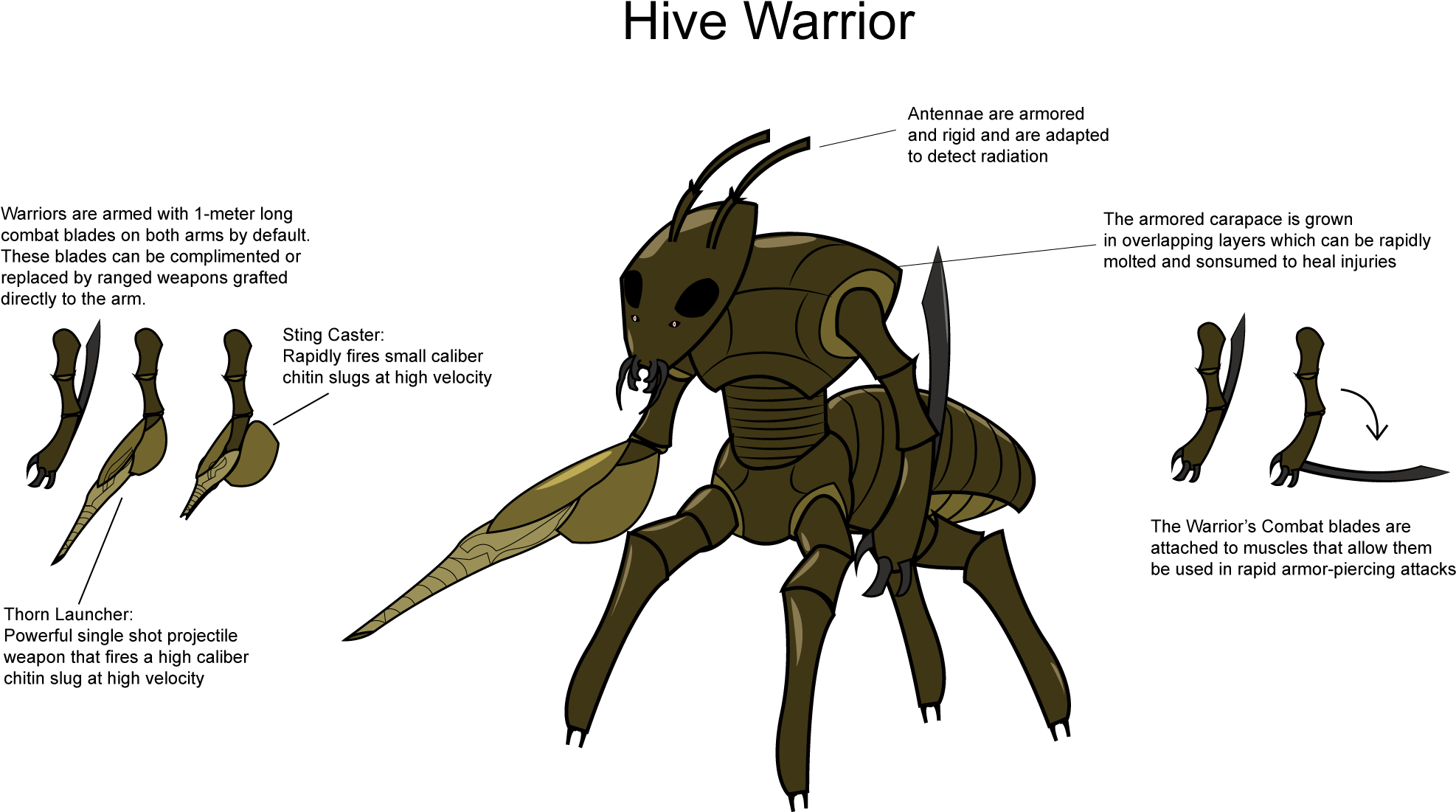Post - Insect (2000x1280), Png Download