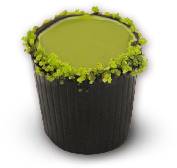 This Is One Of Our Best Cocktail Cups - Cake (800x600), Png Download