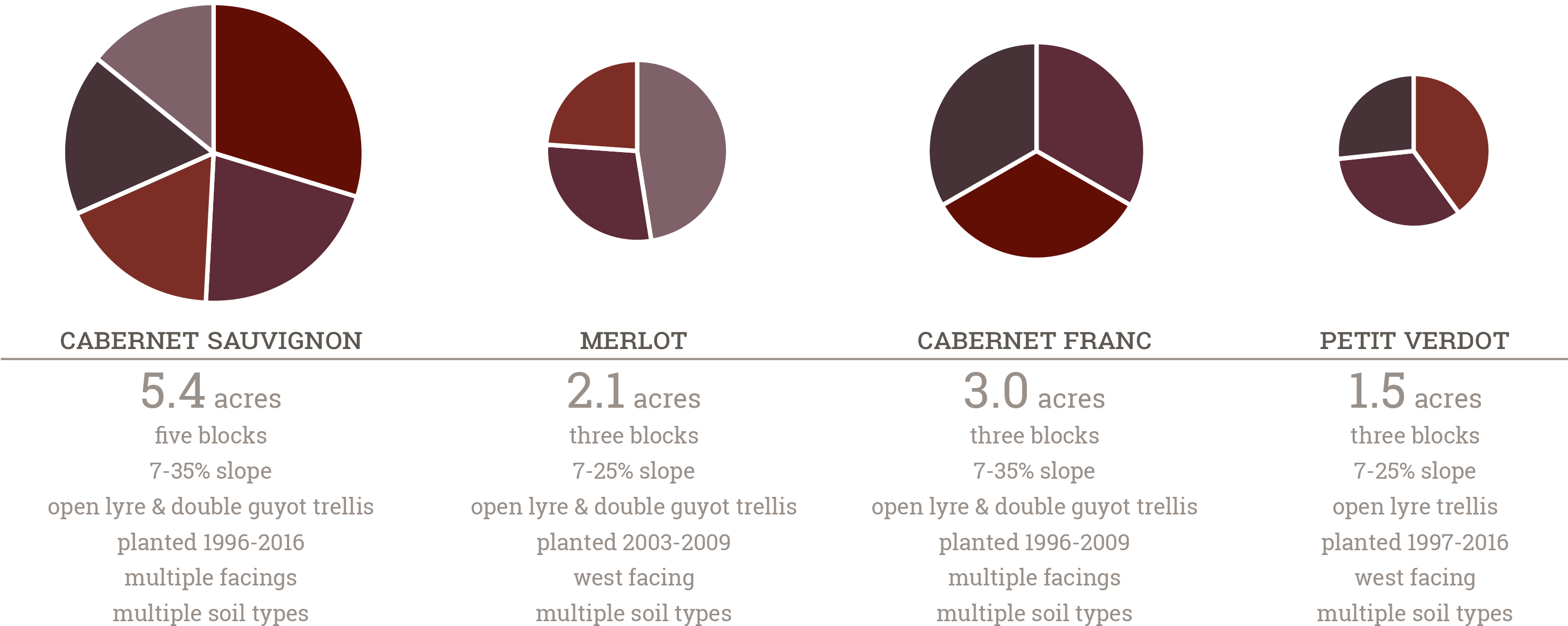 The Vines Are Cane Pruned And Trained To Both The Open - Circle (2934x1243), Png Download
