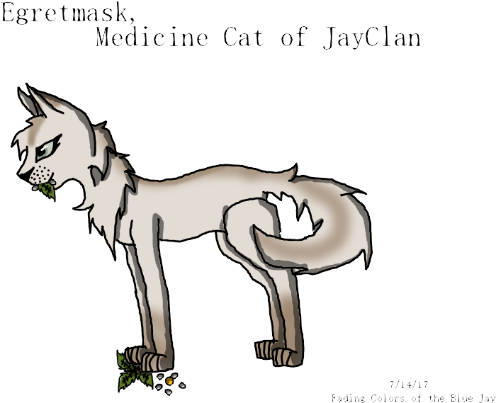 Cat Lineart By - Cartoon (800x613), Png Download