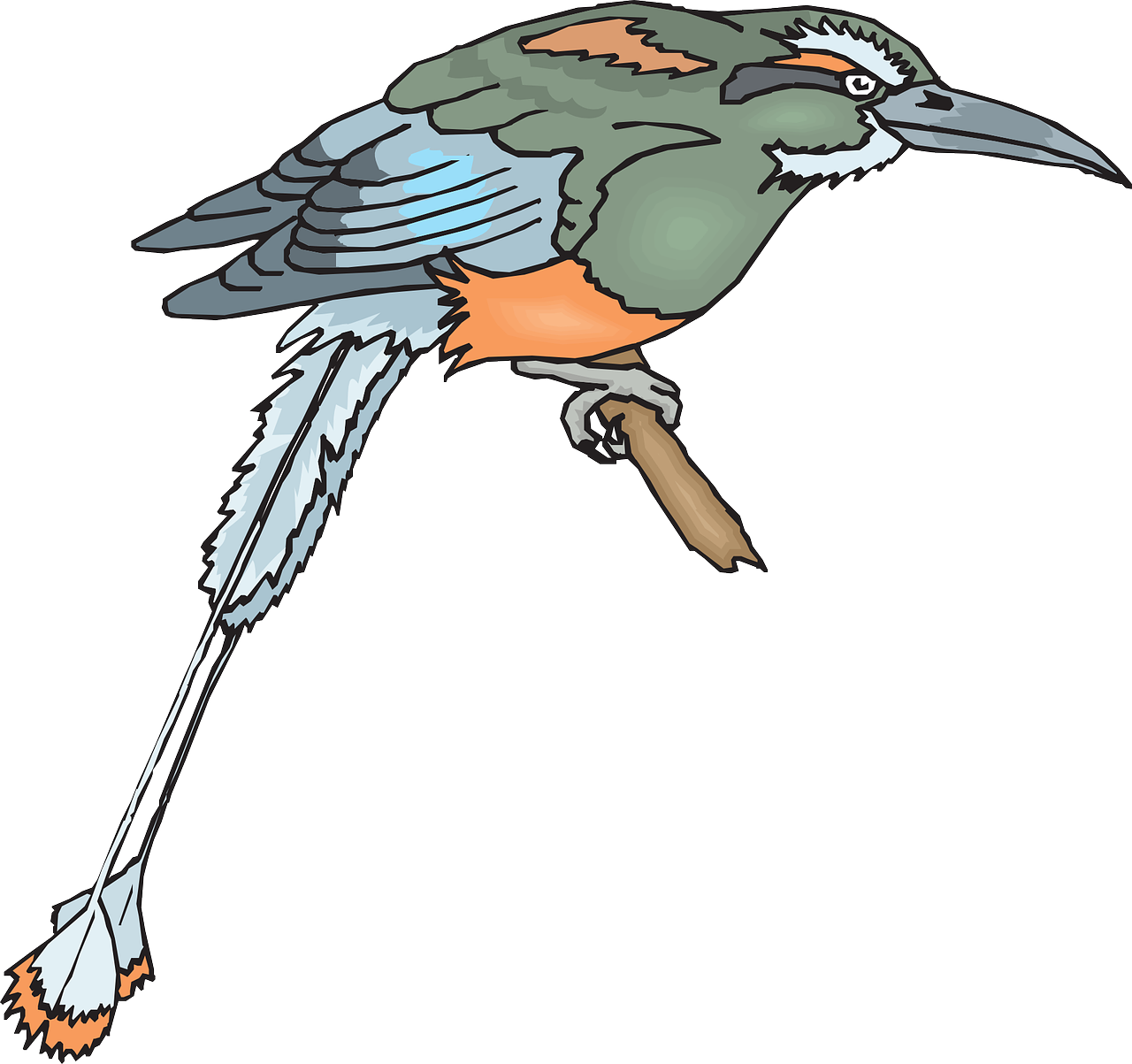 Bird Branch Wings Beak Feathers Png Image - Bird (1280x1203), Png Download