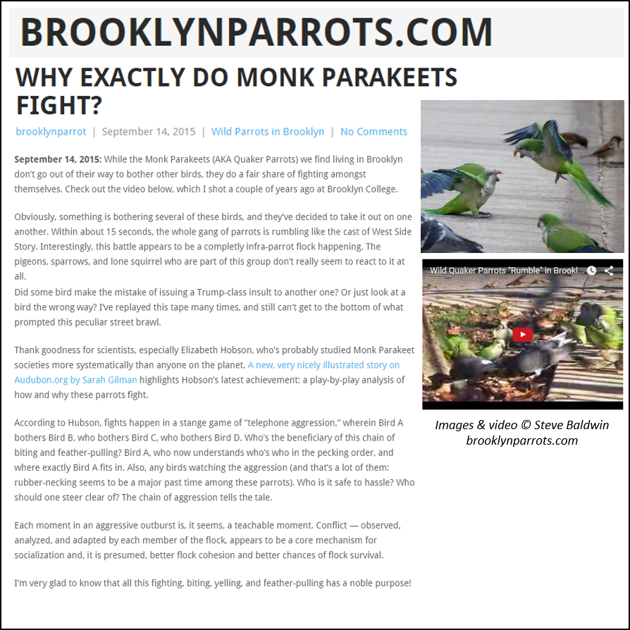 Posted On September 14, 2015 January 9, 2018 By Elizabeth - Tree (894x894), Png Download