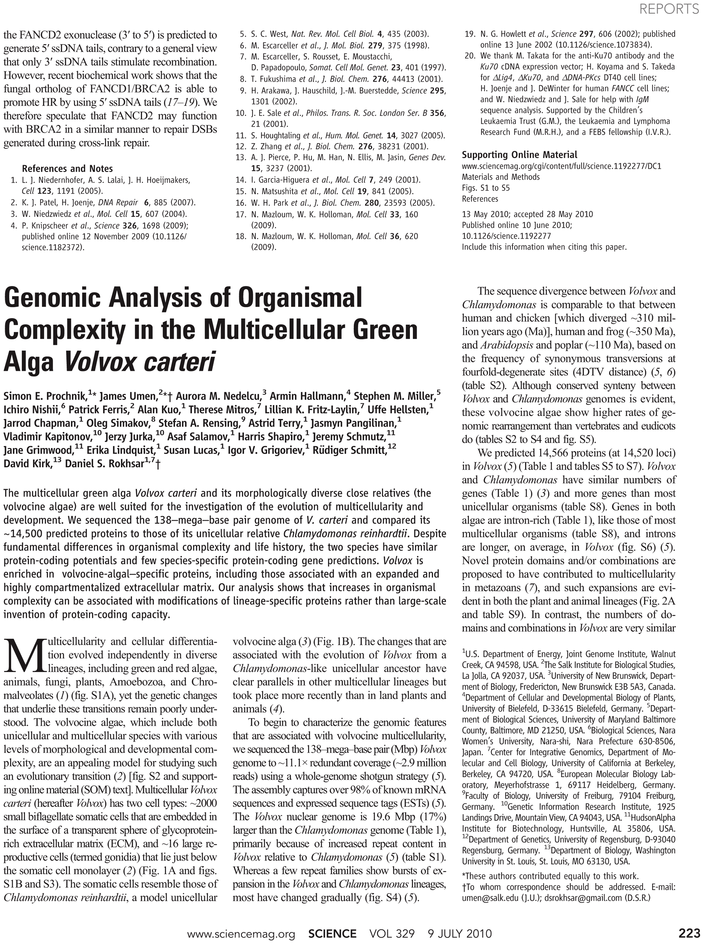 Discovery Of Achilles On Skyros (765x974), Png Download