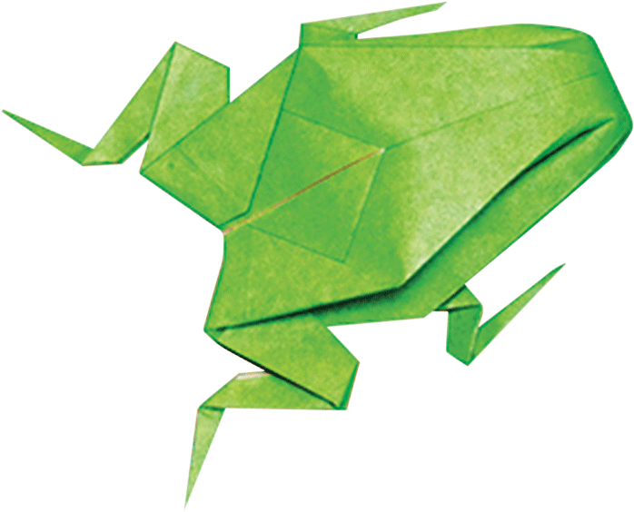 Tuttle Origami Studio Kit - Origami (800x671), Png Download