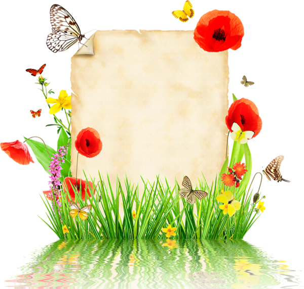 Parchemins Escalope Png, Borders For Paper, - Seelen Pflaster, Heike Wendler (buch) Romane & (600x572), Png Download