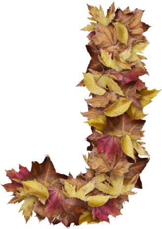 Letter J From Dry Leaves - Portable Network Graphics (866x650), Png Download