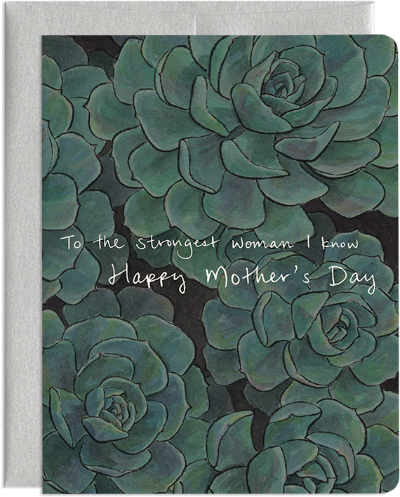 Strong Like Succulent - Echeveria (800x800), Png Download