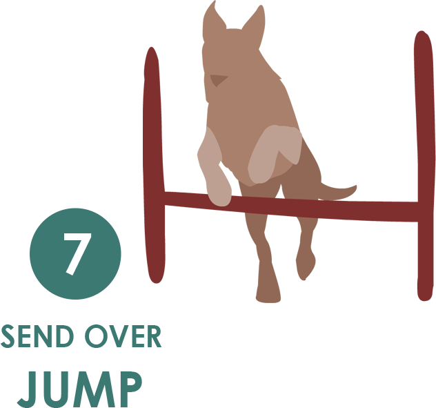 Exercise 1-7 - Jump - Dog Catches Something (632x591), Png Download