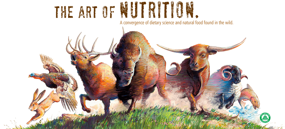 Works Of A Schizophrenic: Illness (984x447), Png Download