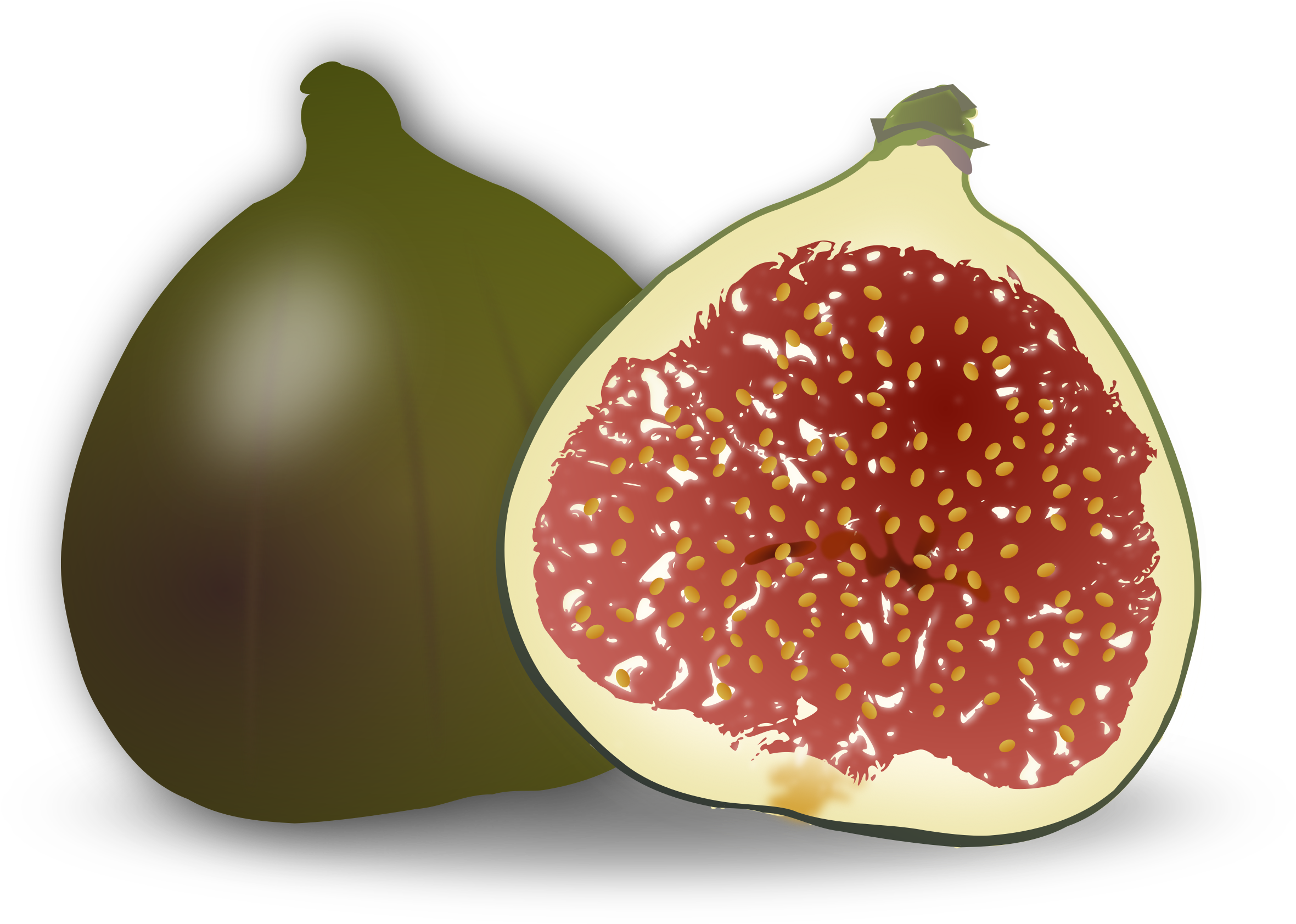 Fig Png High-quality Image - Clip Art Of Fig (2400x1768), Png Download