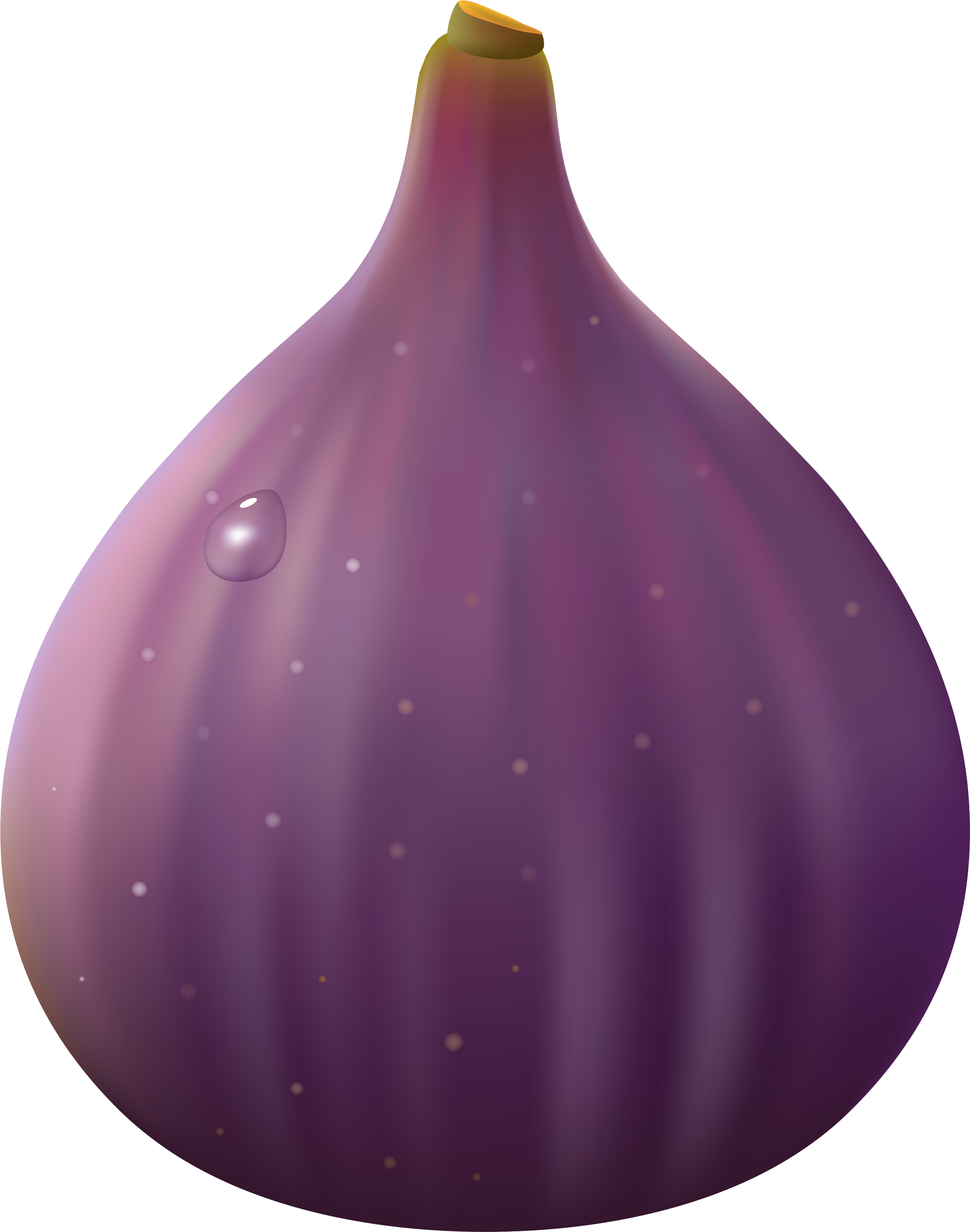 Fig Clipaart (3072x3642), Png Download