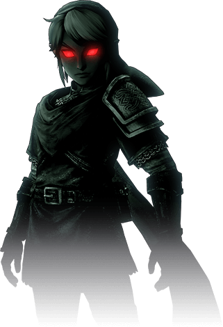Buy The First Four Dlc Packs For A Special Price And - Zelda Hyrule Warriors Dark Link (321x470), Png Download