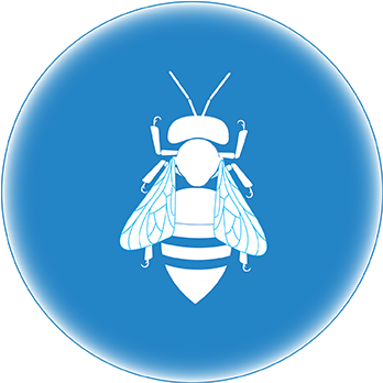 Swarm Algorithmic Logic - Encycle Corporation (450x450), Png Download