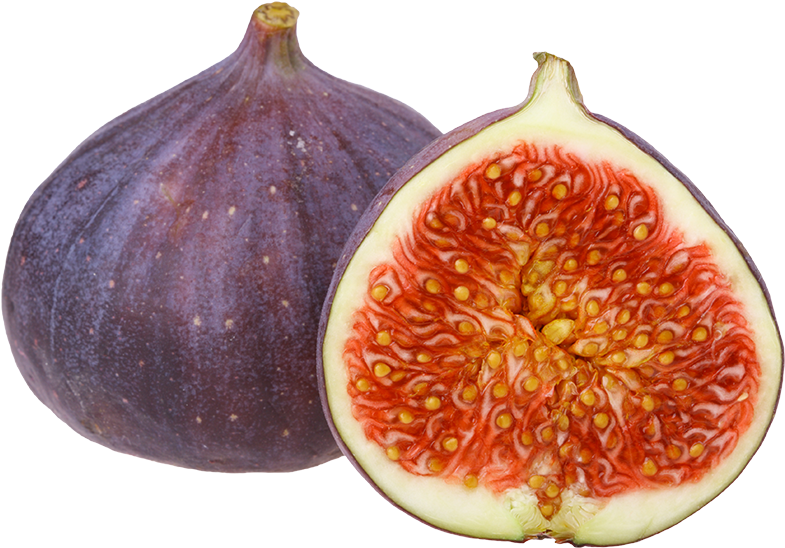 Common Fig (800x800), Png Download