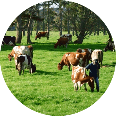 Fun Athlete Deborah - Grazing (380x380), Png Download