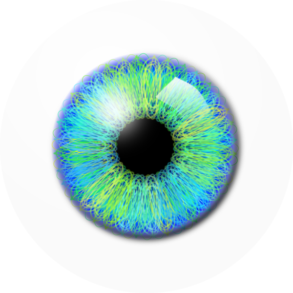 Eye Png - Eye Lens Png (600x600), Png Download