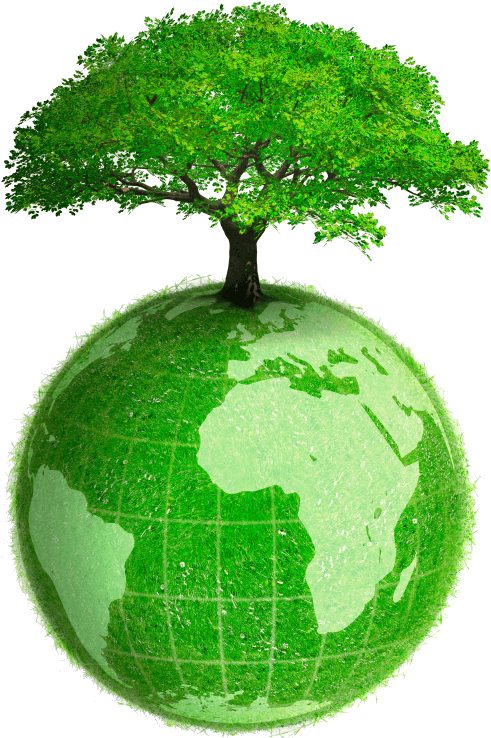 Eco Friendly Products - Earth With Tree Png (588x816), Png Download