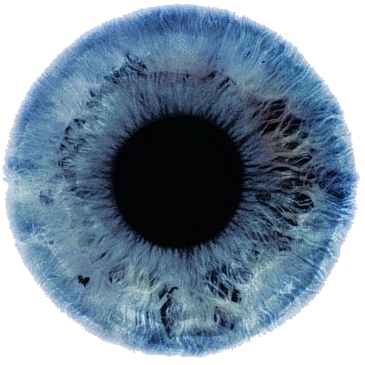 Eye Blue Transparent A - Blue Eye Png (403x400), Png Download