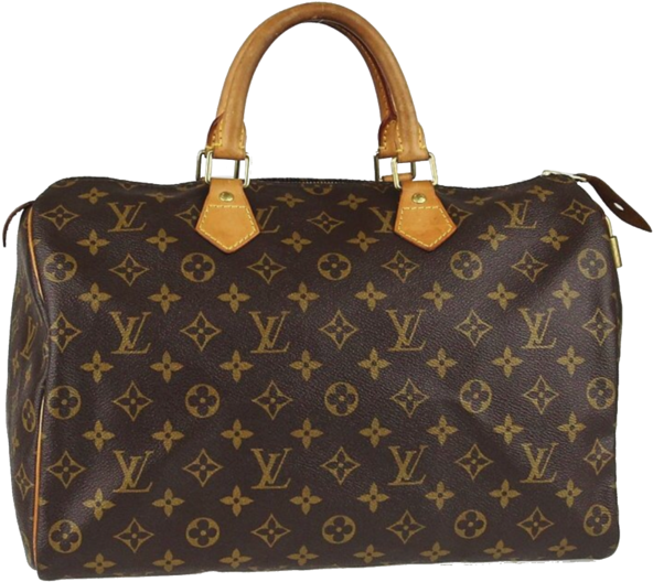 Large Dustbag Designed For Louis Vuitton Handbags - Magic Kingdom (600x556), Png Download