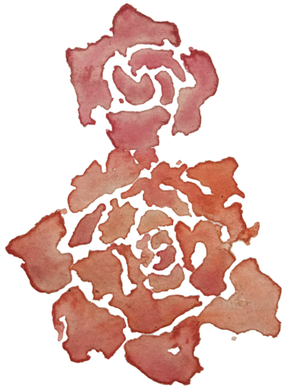 Img 3555 (1000x1349), Png Download