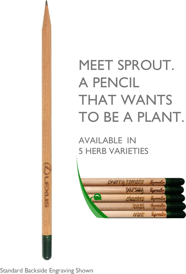 Sprout Pencil Eco Friendly - Eye Liner (1000x1000), Png Download