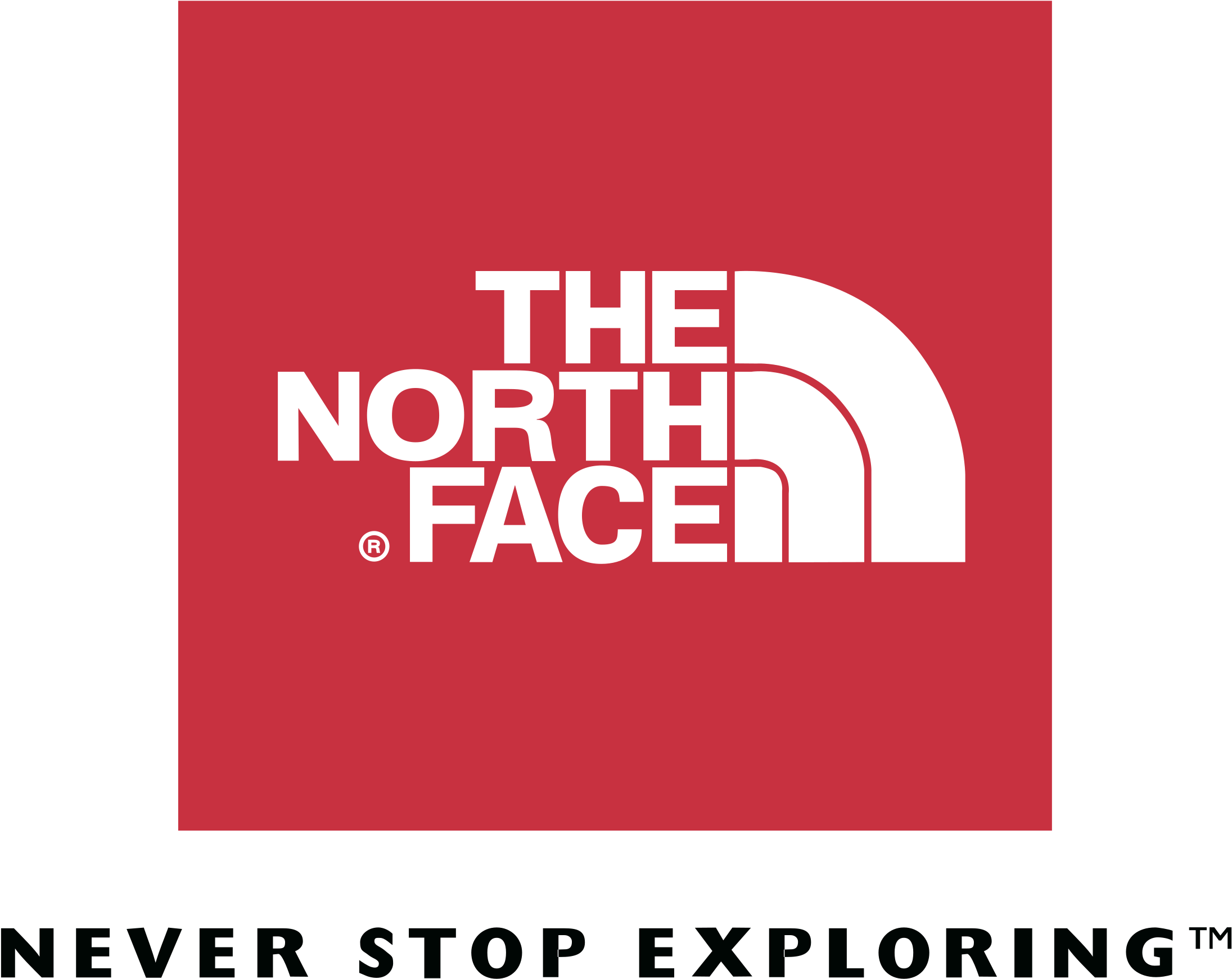Картинка the north face