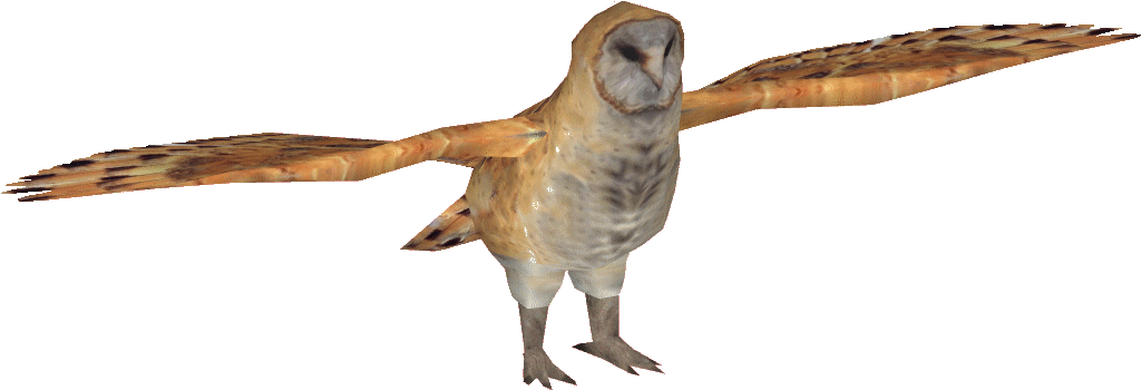 Barnowldacentrumaks - Barn Owl (1030x1030), Png Download