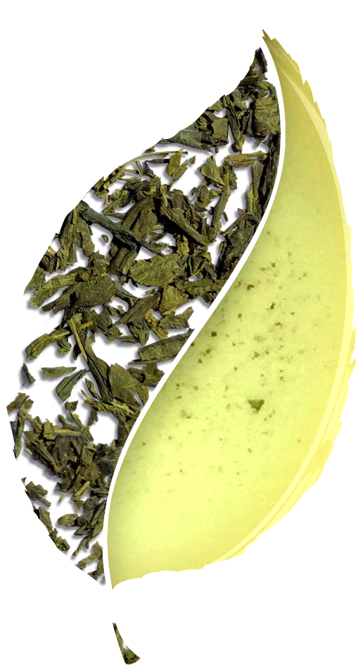 Bancha Green Tea - Tea (700x974), Png Download