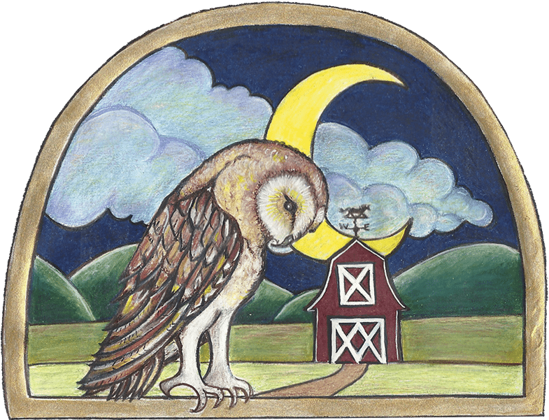 Download Barn Owl Art Studio Painting PNG Image with No Background