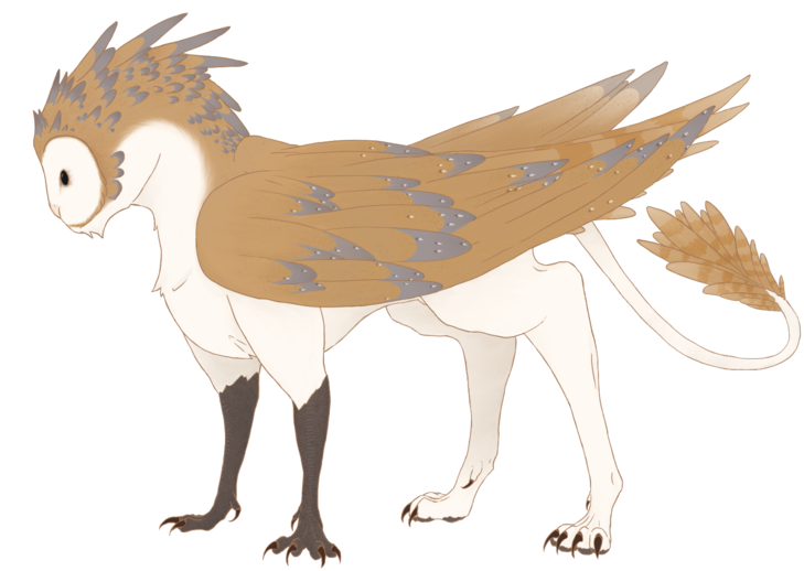 Barn Owl Gryphon By Hexfox On Deviantart - Owl Gryphon (1024x692), Png Download