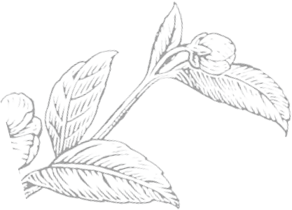 Mommy & Me & Tea - Sketch (417x301), Png Download