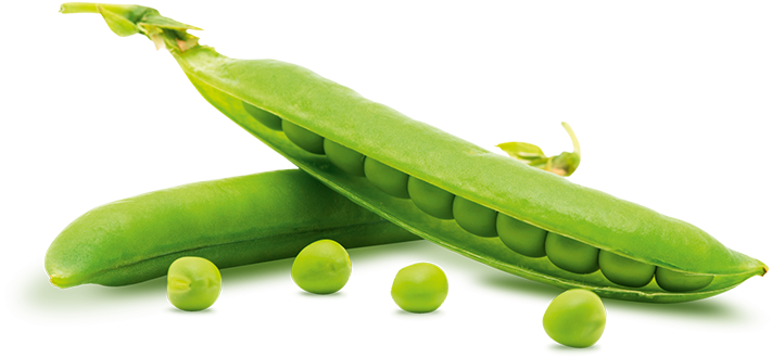 Pea Png - Pea Transparent (710x350), Png Download
