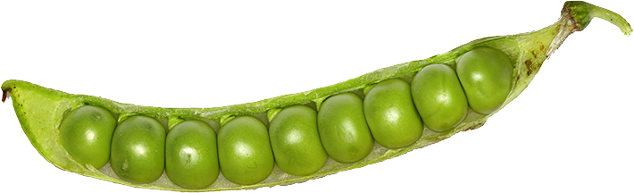 Download - Green Peas In A Pod (710x216), Png Download