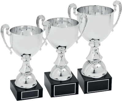 Trophy (464x348), Png Download