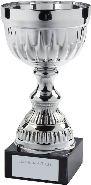 A1 Trophies And Engraving Cup Trophy - Champions Silver Goblet Trophy Cup |230 Mm |s31 (330x652), Png Download