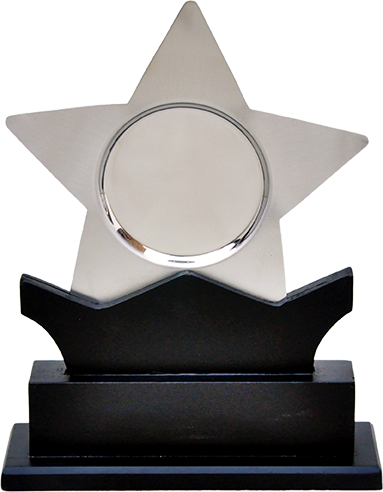 Star Silver Trophy, Shape - Silver (383x492), Png Download