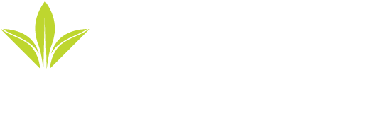 Zealong Tea Estate (595x308), Png Download