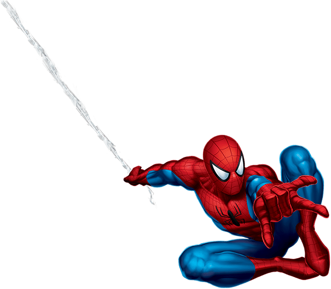 Spider  String Png / Available in png and vector.