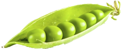 Sweet Peas Vegetables Png (480x321), Png Download