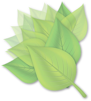Leave A Reply Cancel Reply - Maple Leaf (375x416), Png Download