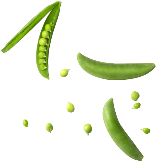 Peas - Snap Pea (866x650), Png Download