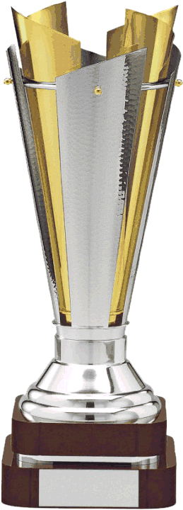 Gold/silver Plated Sartor Trophy - Sports Award (307x771), Png Download