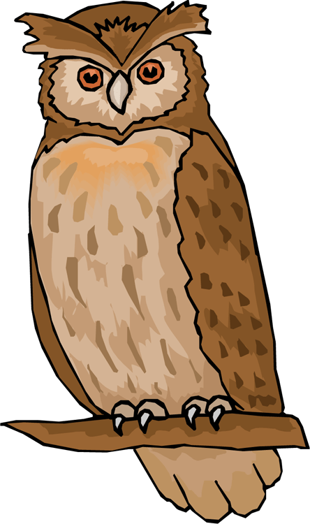 Vector Owl Barn - Clipart Of Owl (444x750), Png Download