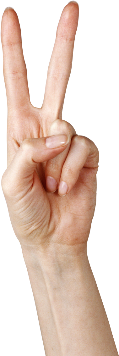 Hand Showing Two Fingers Png Clipart Picture - Hand Two Finger Png (365x600), Png Download