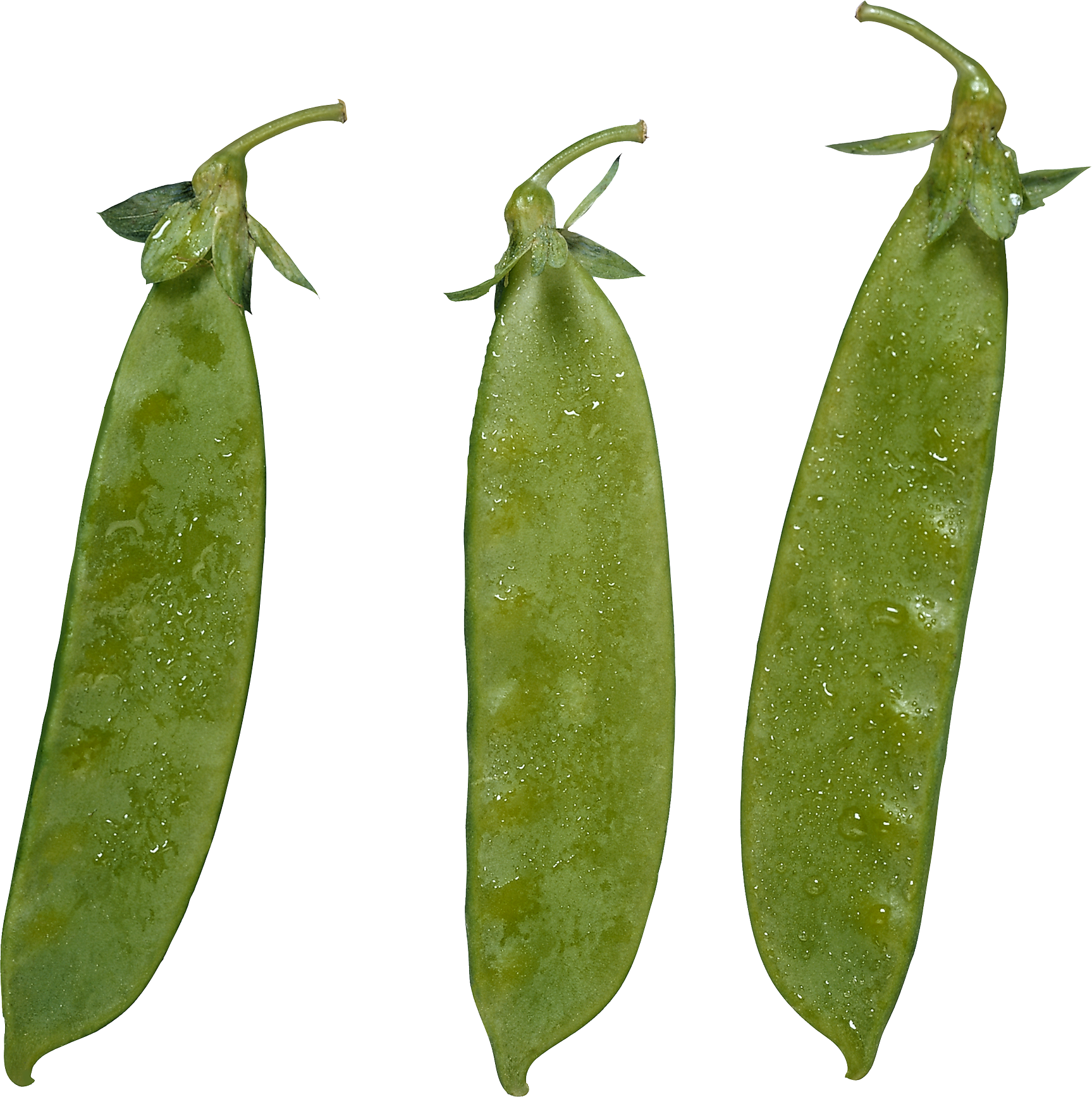 Lima Beans In Pod (1727x1735), Png Download