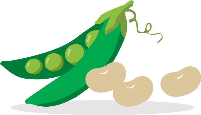 Fruits And Veggies Vegetables Beans - Vegetable (720x475), Png Download