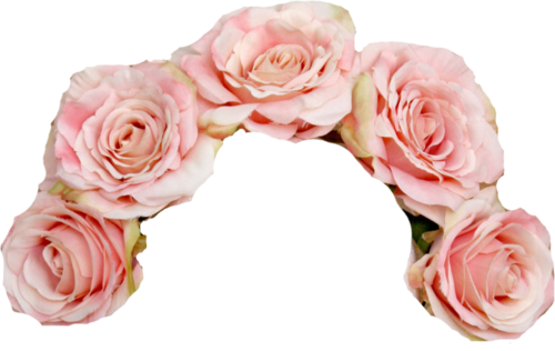 Image - Transparent Tumblr Flower Crown (500x316), Png Download